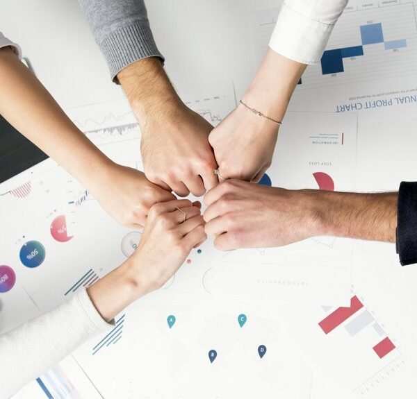 sector dynamics report analysis