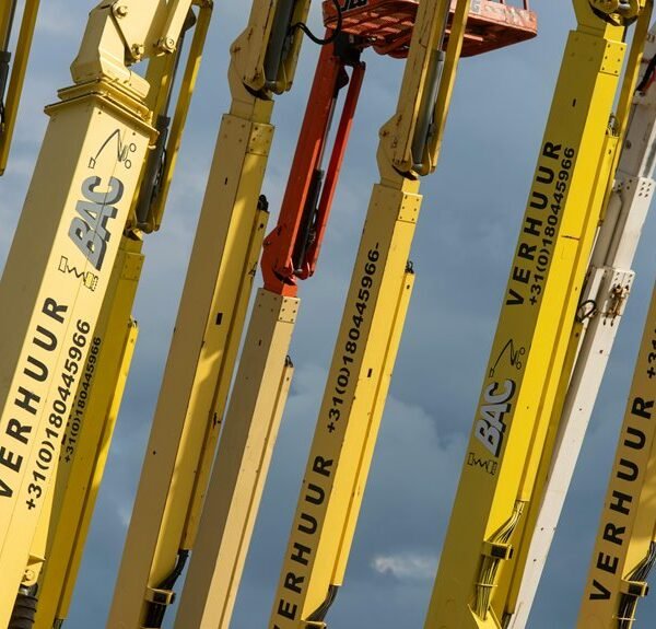 elevate your online services