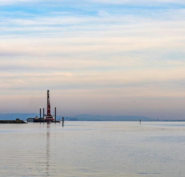 digital platform expansion strategy