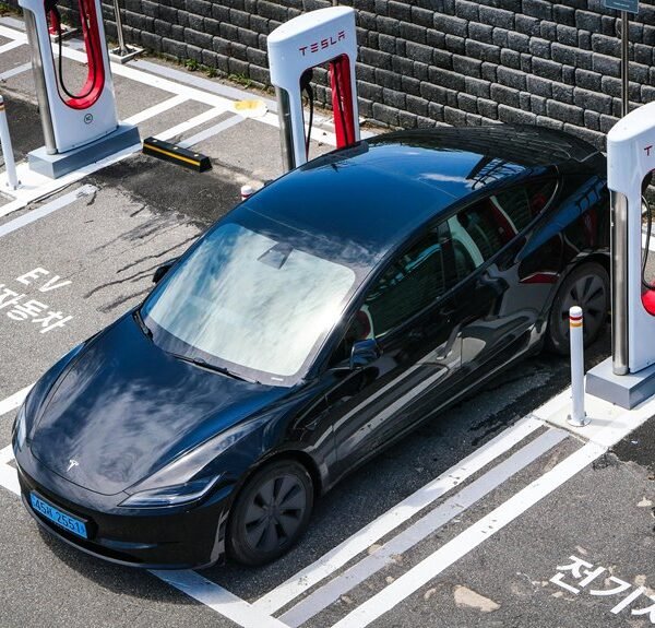 expansion of digital model