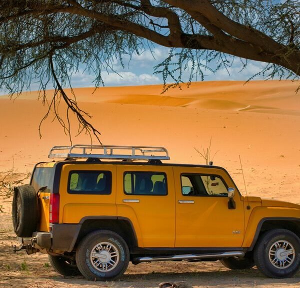 reliable expansion model 613977373