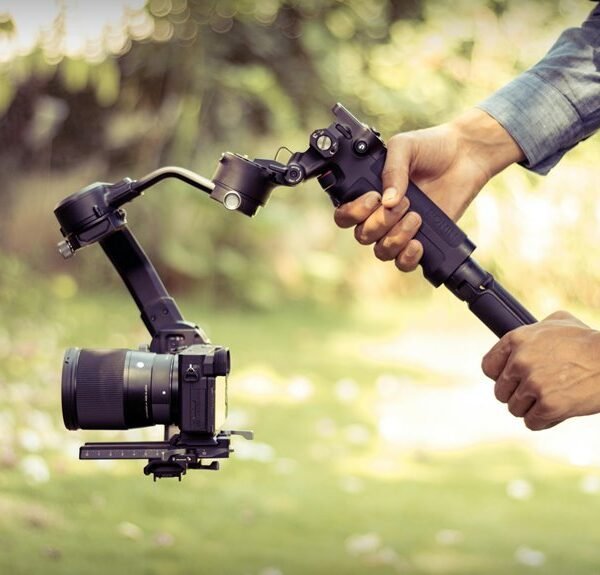 stable online professional platform